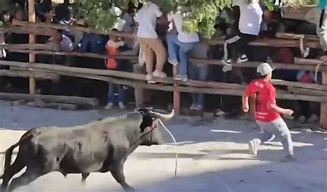 Un toro escapa en Perú y embiste a dos personas .